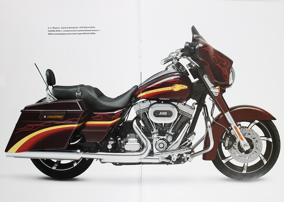 Harley Davidson на дороге жизни / Саладини А., Сцимезак П. М.: Астрель, [2012].